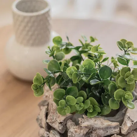 Lejlighed Hara's House Monastiraki (Phocis)